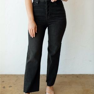 CJLA Carley Jean Los Angeles Laurel Wide Leg Jeans size 3 high rise